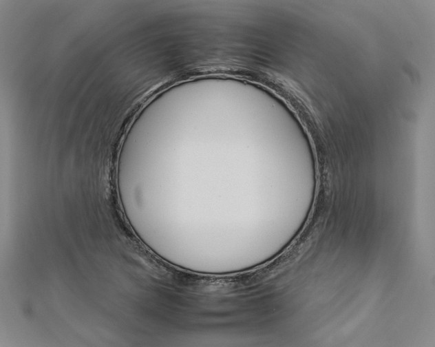 X0000113031217200908271048