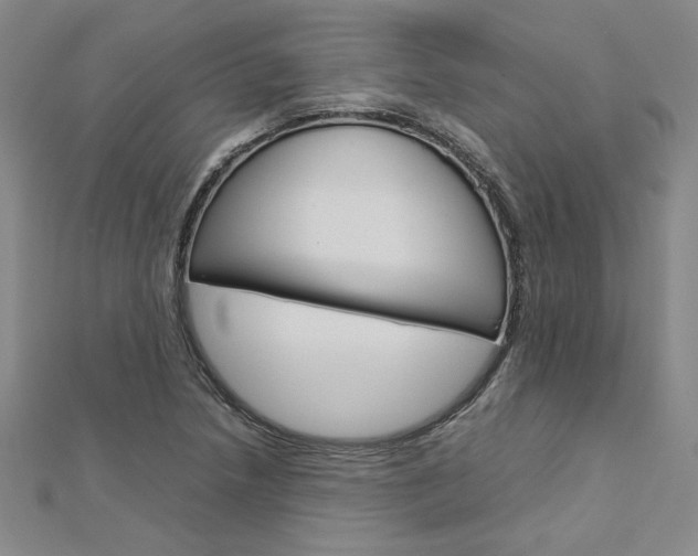 X0000113031218200908271048