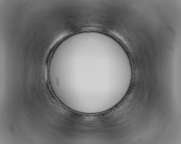 X0000113031219200908271048