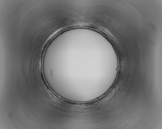 X0000113031220200908271048