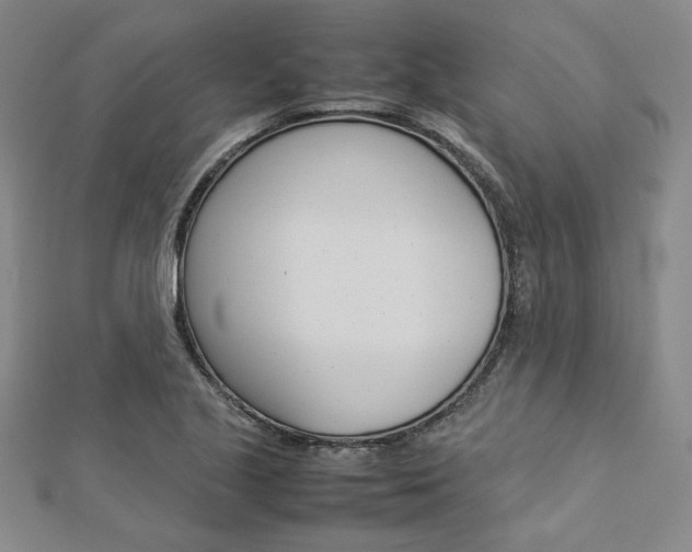 X0000113031221200908271048