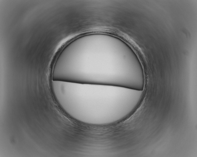 X0000113031222200908271048