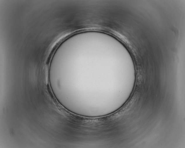 X0000113031223200908271048