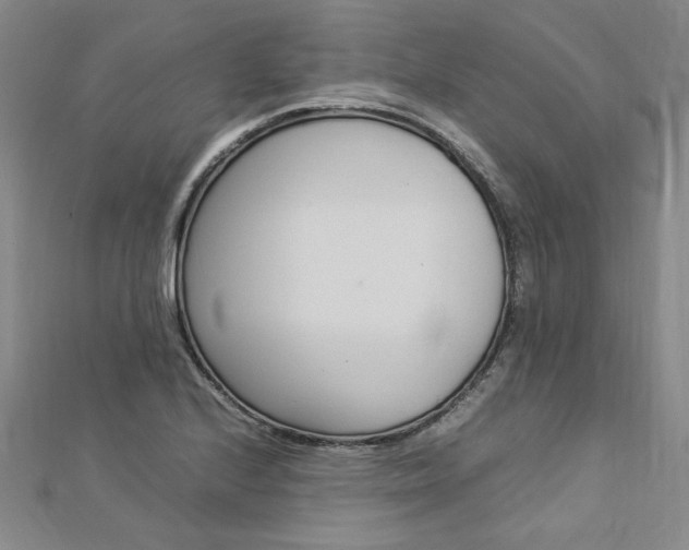 X0000113031224200908271048