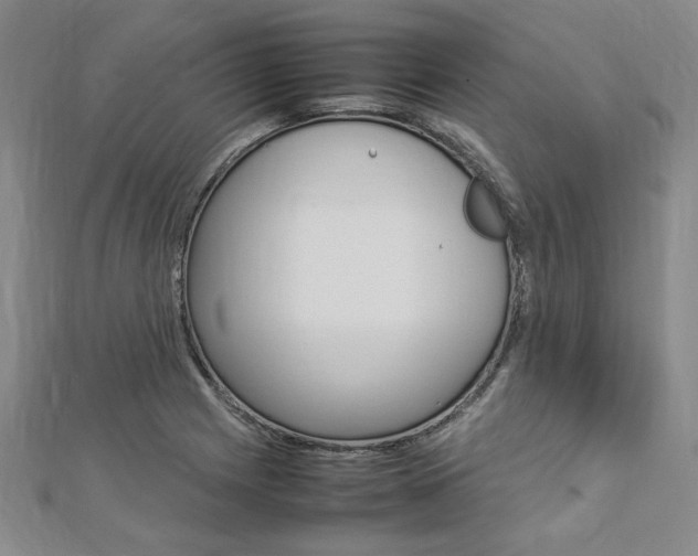 X0000113031225200908271048