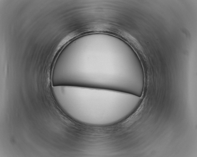X0000113031226200908271048