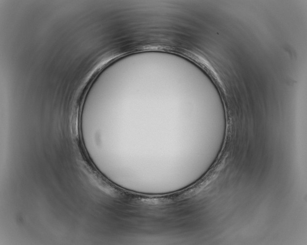 X0000113031227200908271048