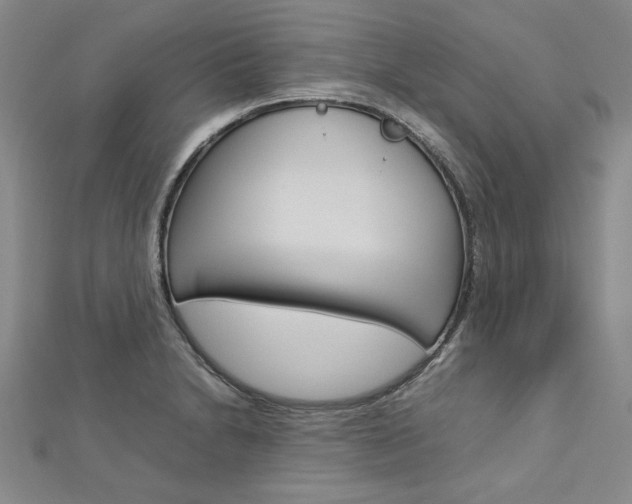 X0000113031230200908271048