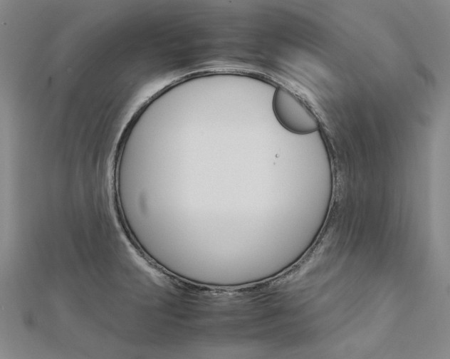 X0000113031231200908271048
