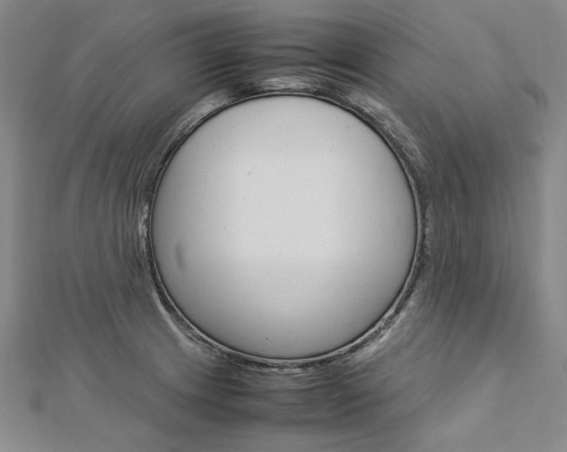 X0000113031233200908271048