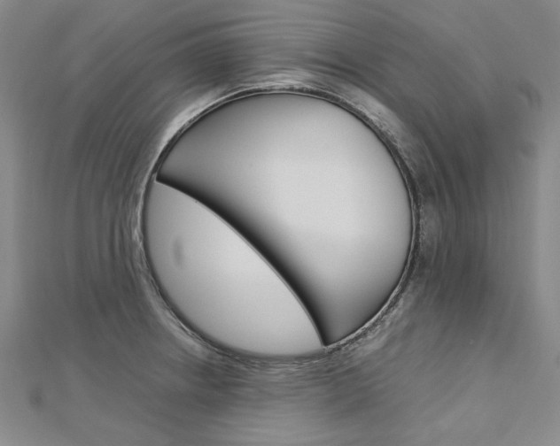 X0000113031234200908271048