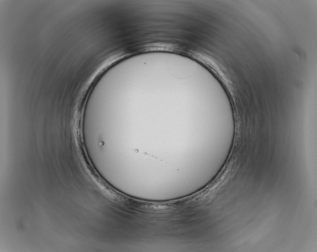 X0000113031235200908271048
