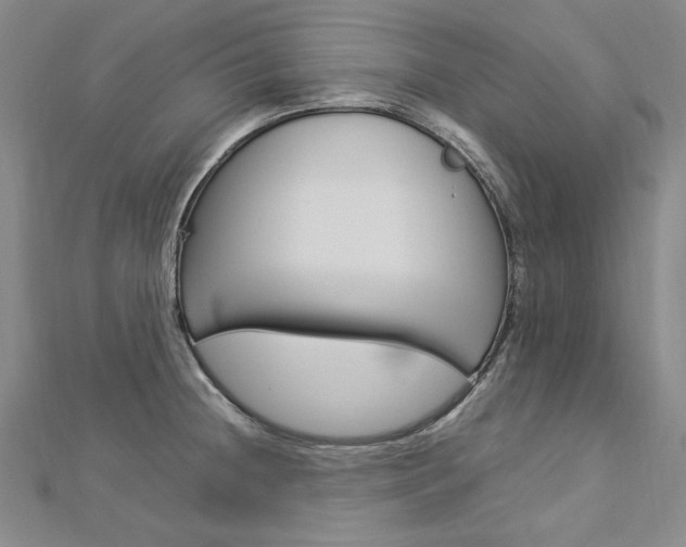 X0000113031236200908271048
