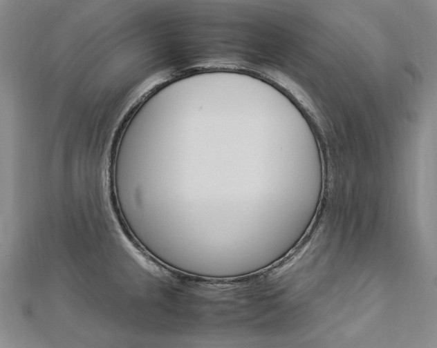 X0000113031237200908271048