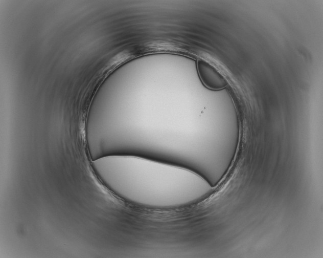 X0000113031241200908271048