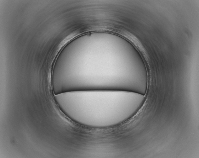 X0000113031242200908271048