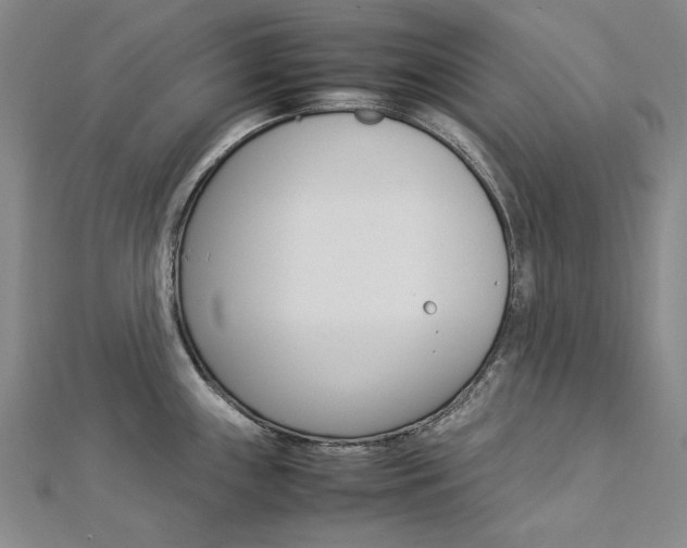 X0000113031243200908271048
