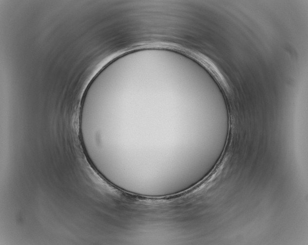 X0000113031244200908271048
