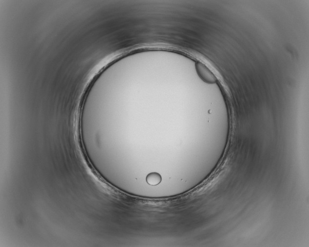 X0000113031245200908271048