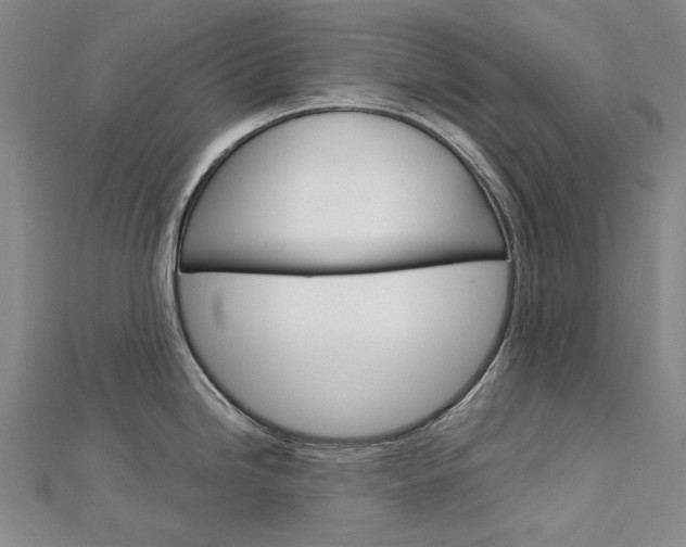X0000113031246200908271048