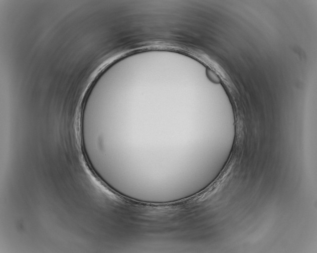 X0000113031247200908271048