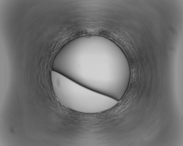 X0000113031249200908271047