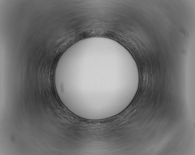 X0000113031250200908271047