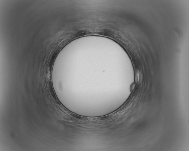 X0000113031251200908271047