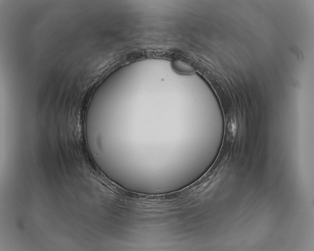 X0000113031252200908271047