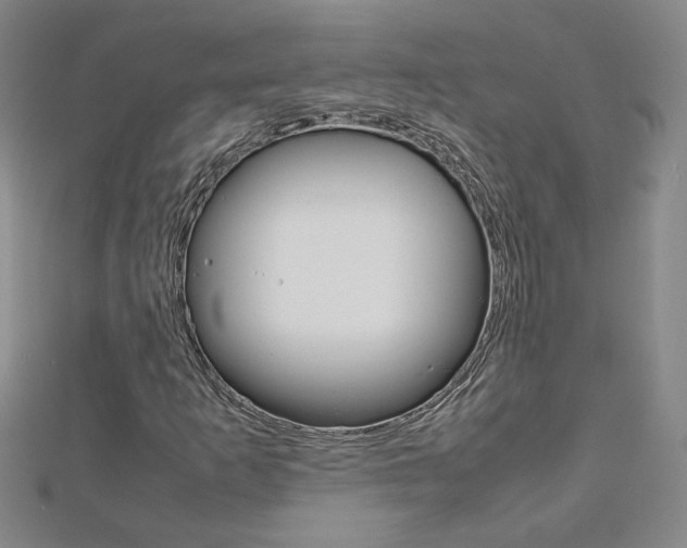 X0000113031253200908271047