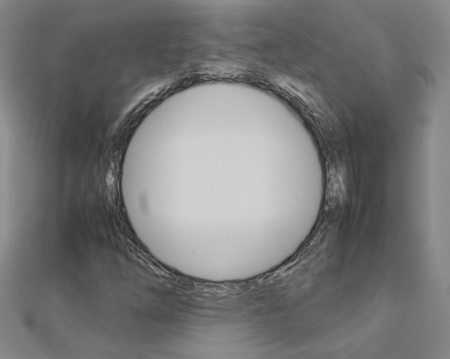 X0000113031254200908271047
