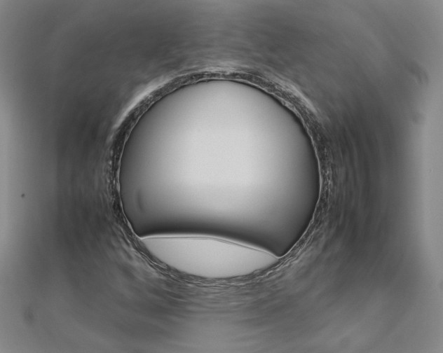 X0000113031256200908271047