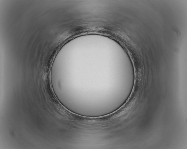 X0000113031257200908271047