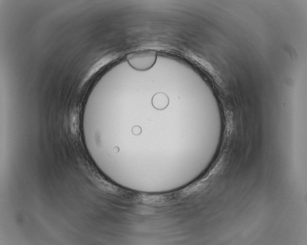 X0000113031258200908271047