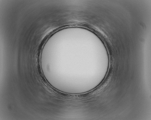 X0000113031259200908271047