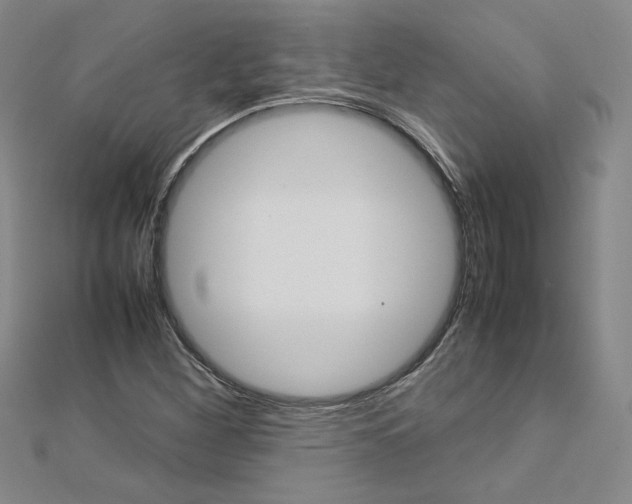 X0000113031260200908271047