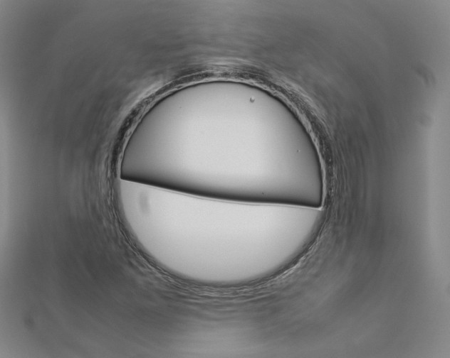X0000113031261200908271047