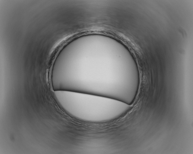X0000113031262200908271047
