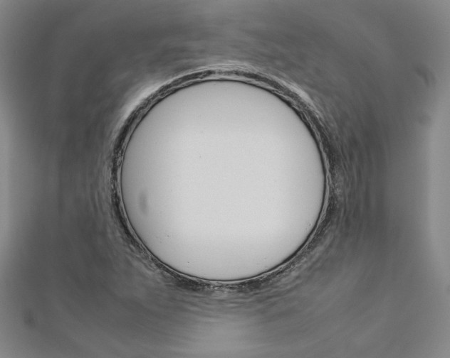 X0000113031263200908271047