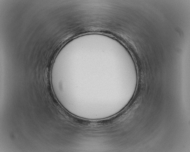 X0000113031265200908271047