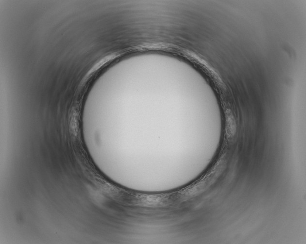 X0000113031266200908271047