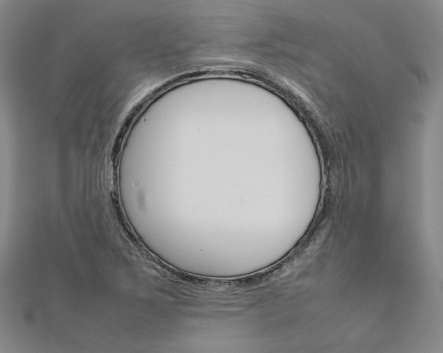 X0000113031267200908271047