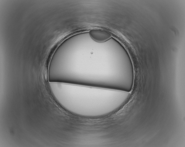 X0000113031269200908271047