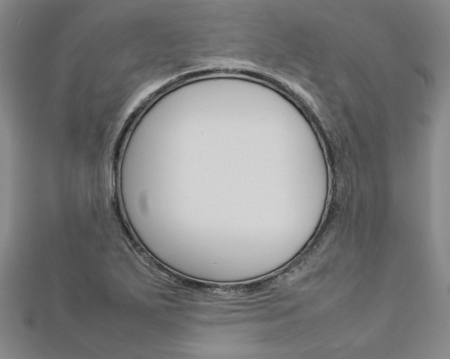 X0000113031271200908271047
