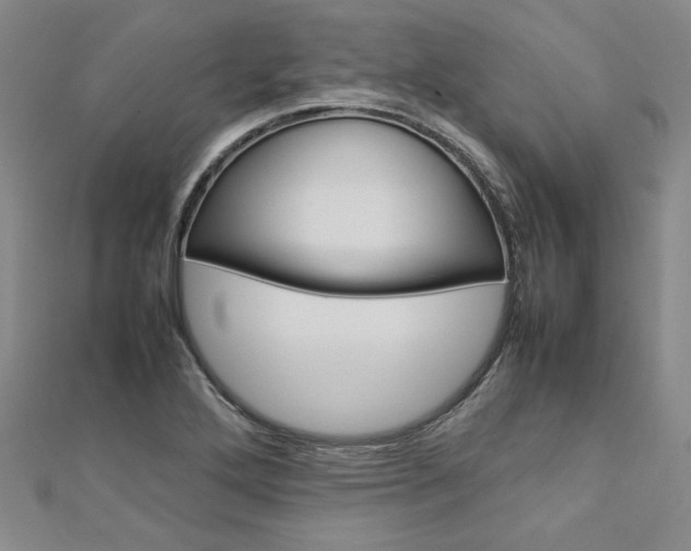 X0000113031272200908271047