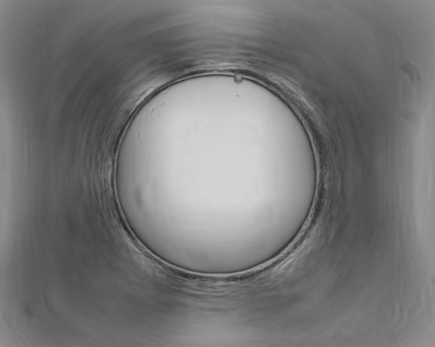 X0000113031273200908271047