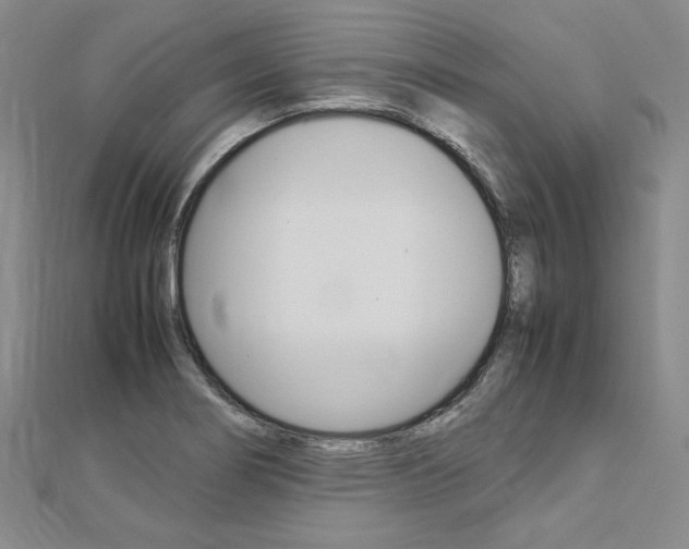 X0000113031274200908271047