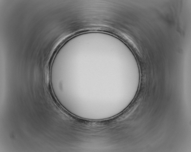 X0000113031275200908271047