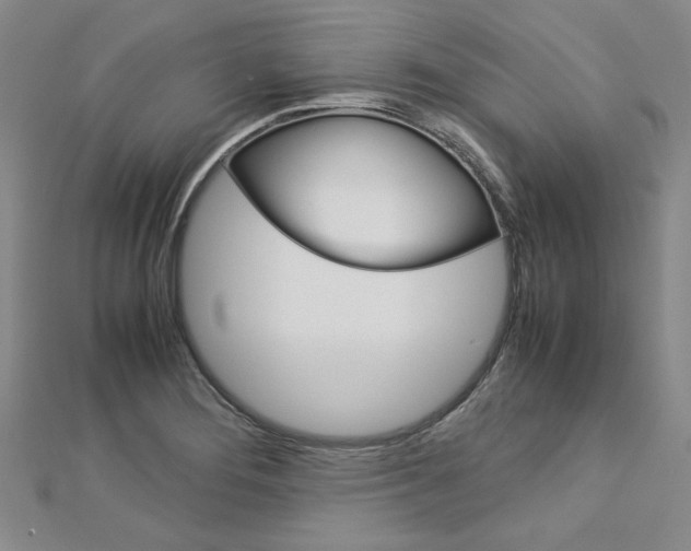 X0000113031276200908271047