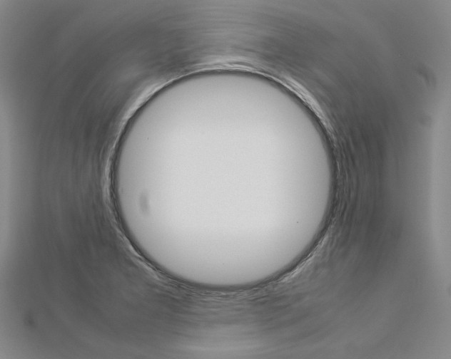 X0000113031277200908271047